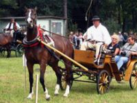 Na polance u państwa Janików przy Willi "Koliba" do konkursu na Dorożkarza Roku 2005 stanęli zakopiańscy fiakrzy